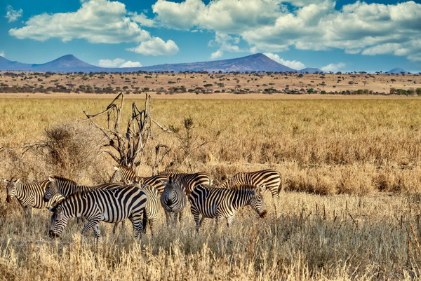 Hertz Rent A Car Botswana